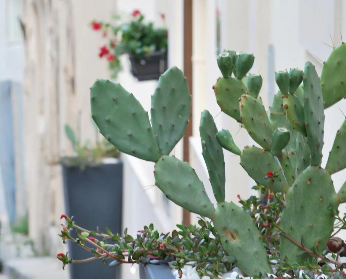 *** Bed & Breakfast Bed and Breakfast A Casa Di Grazia Ragusa Italia